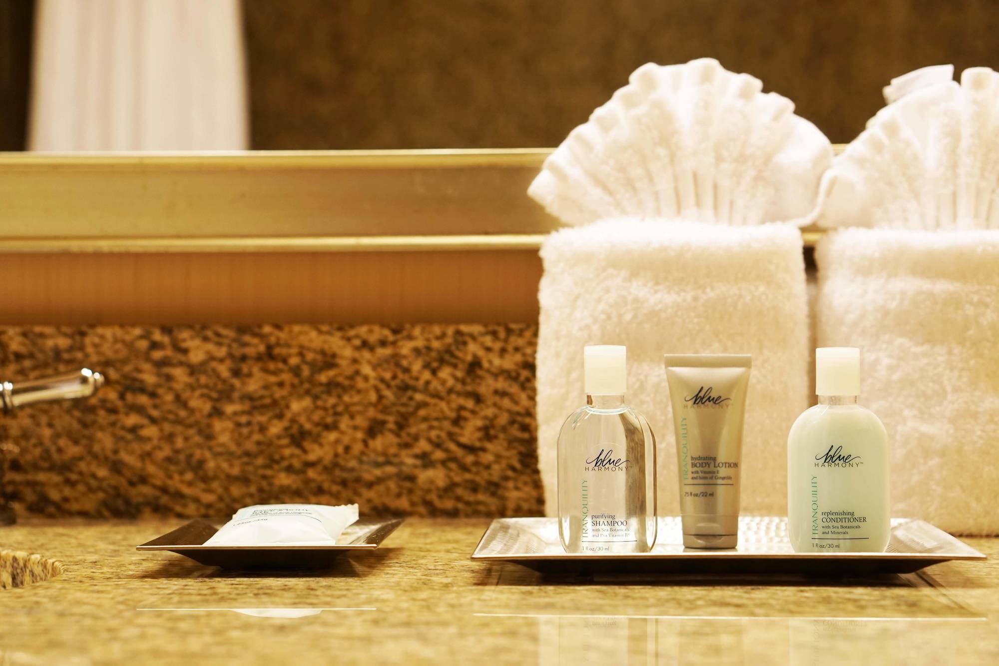 Wyndham Chicago O'Hare Hotel Rosemont Ngoại thất bức ảnh
